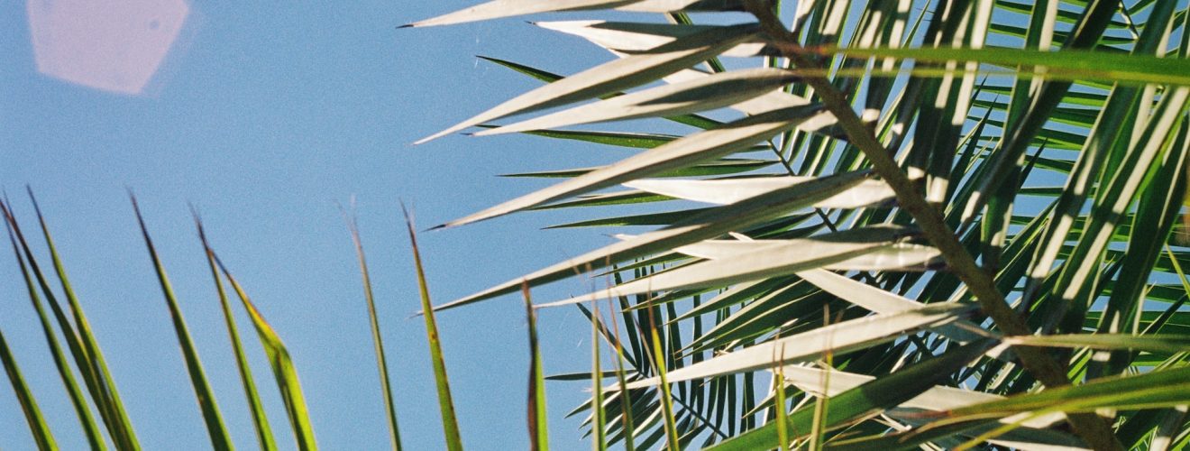 Vakantieplannen? Regel het op tijd!