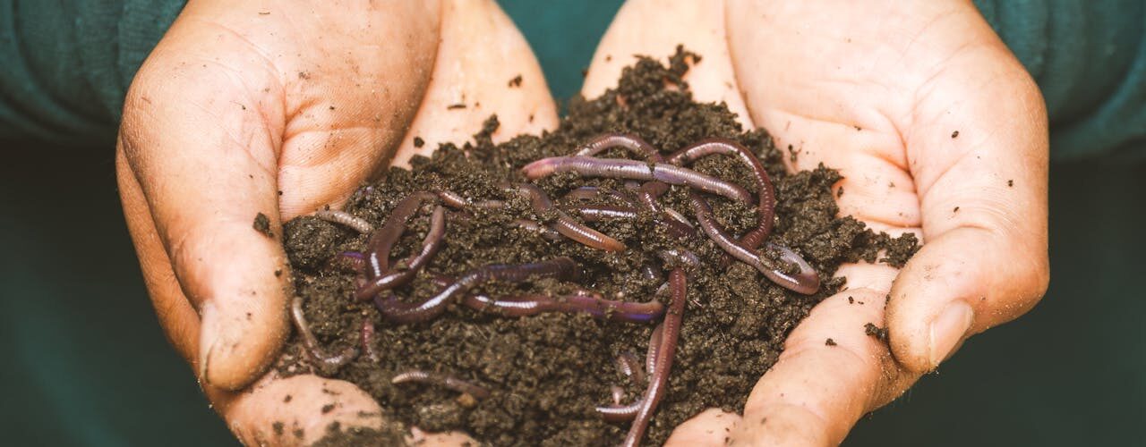 Waarom compost maken goed is voor je tuin en voor minder afval