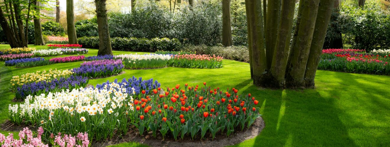 Tuin verzorgen met aandacht en plezier