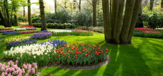 Tuin verzorgen met aandacht en plezier